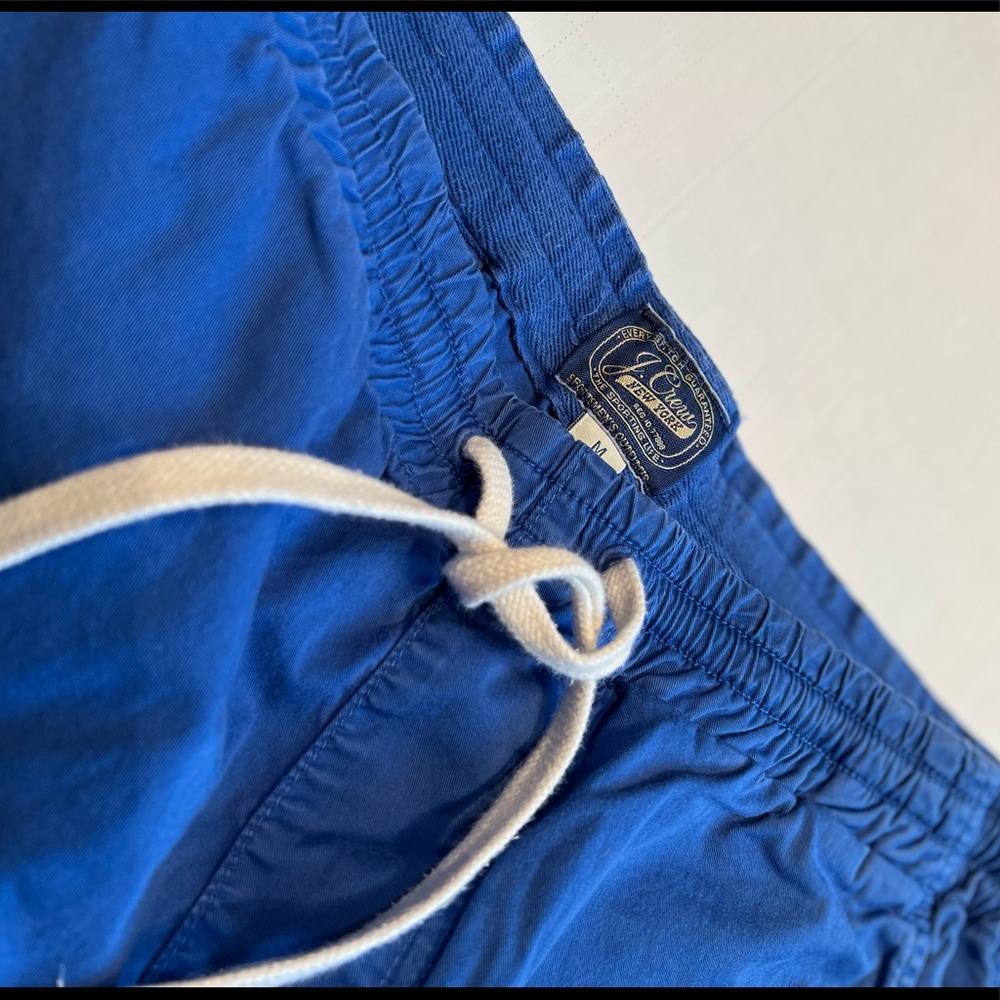 Mens J.Crew royal blue shorts.